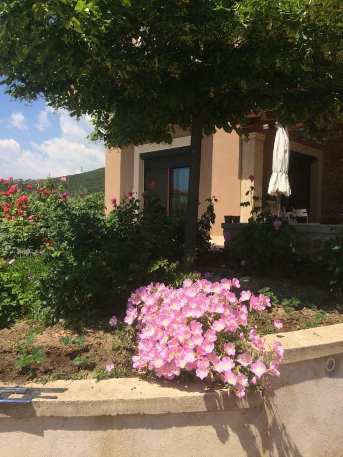 Olive Tree Cottage Неа-Перамос Экстерьер фото