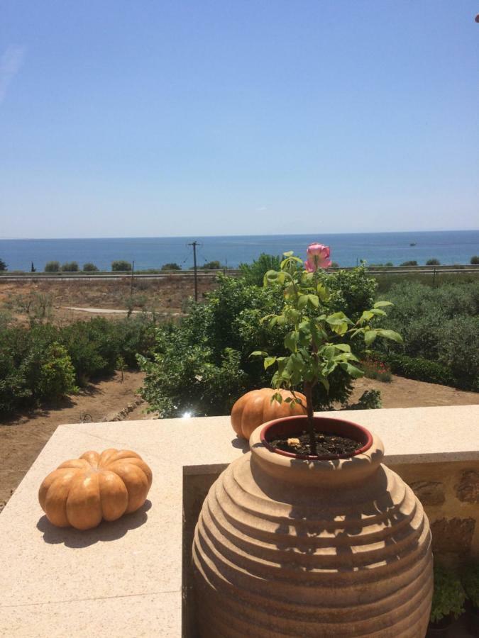 Olive Tree Cottage Неа-Перамос Экстерьер фото